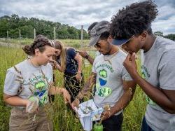 Students conducting research in a field